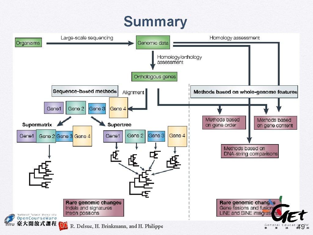 Summary R. Delsuc, H. Brinkmann, and H. Philippe 49 