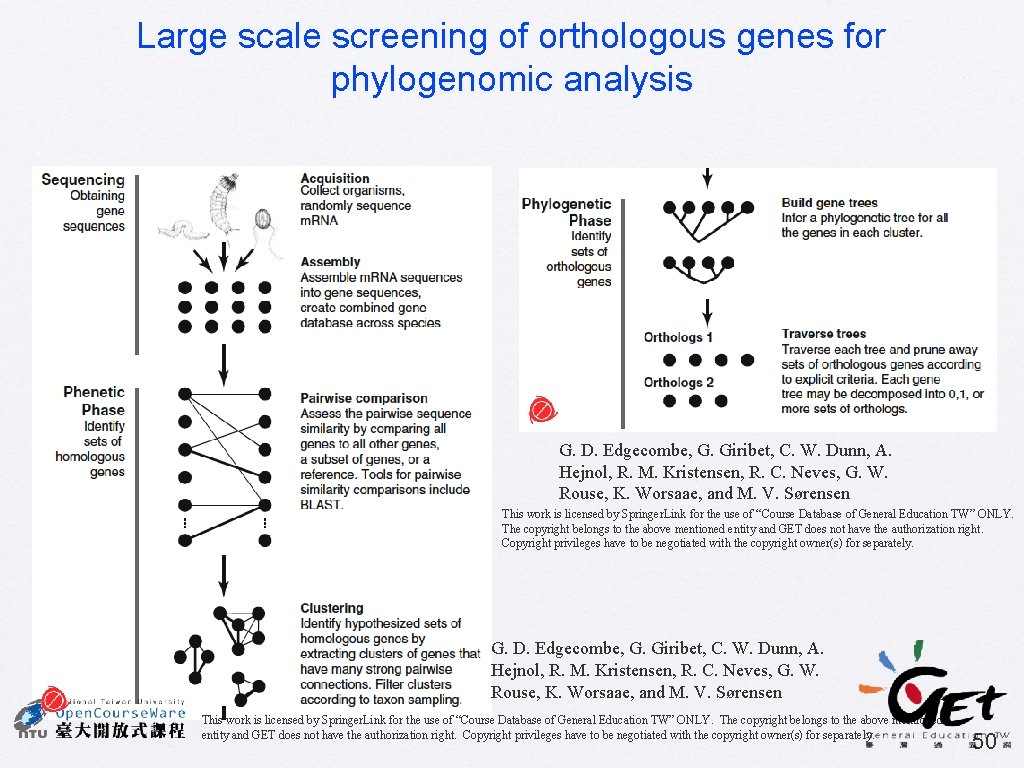 Large scale screening of orthologous genes for phylogenomic analysis G. D. Edgecombe, G. Giribet,