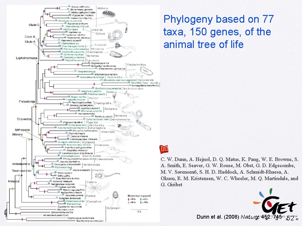 Phylogeny based on 77 taxa, 150 genes, of the animal tree of life C.