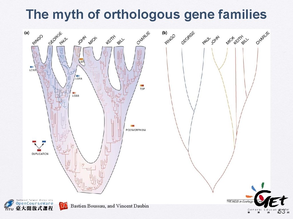 The myth of orthologous gene families Bastien Boussau, and Vincent Daubin 53 