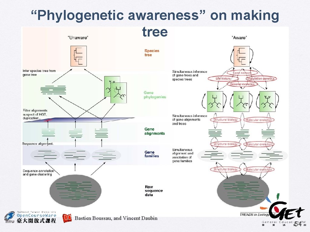 “Phylogenetic awareness” on making tree Bastien Boussau, and Vincent Daubin 54 