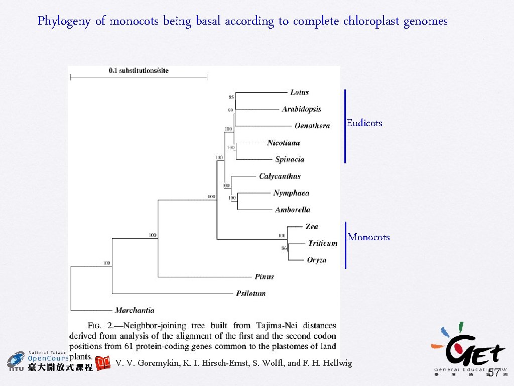 Phylogeny of monocots being basal according to complete chloroplast genomes Eudicots Monocots V. V.