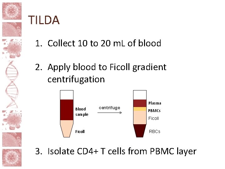 TILDA 1. Collect 10 to 20 m. L of blood 2. Apply blood to