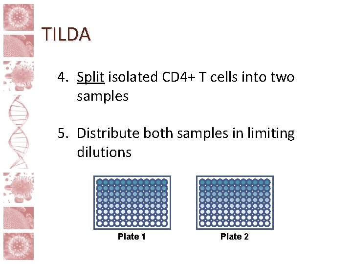 TILDA 4. Split isolated CD 4+ T cells into two samples 5. Distribute both