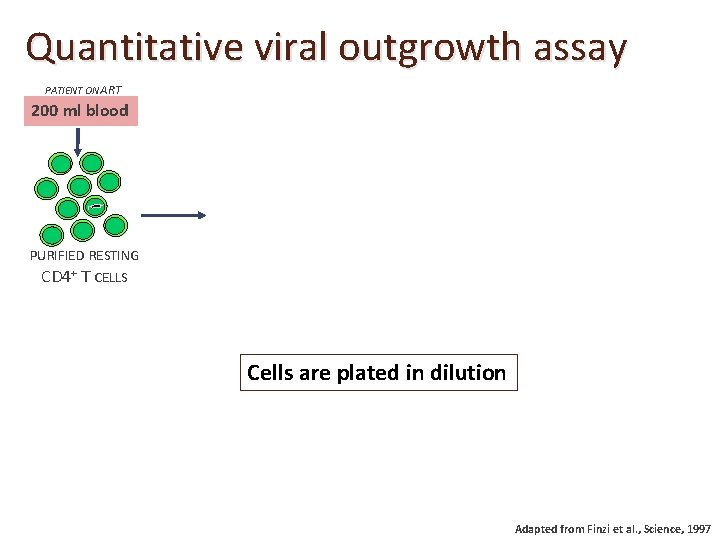Quantitative viral outgrowth assay PATIENT ON ART 200 ml blood PURIFIED RESTING CD 4+