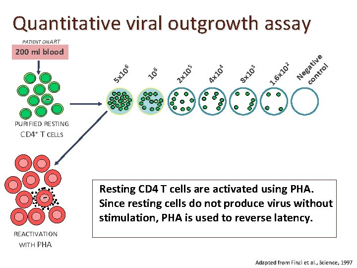 Quantitative viral outgrowth assay 10 2 6 x 1. 10 3 8 x 10