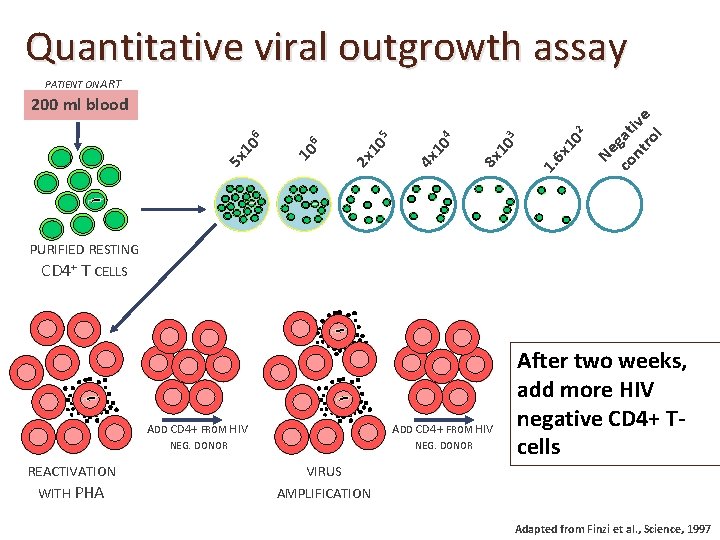 Quantitative viral outgrowth assay 10 2 6 x 1. 10 3 8 x 10