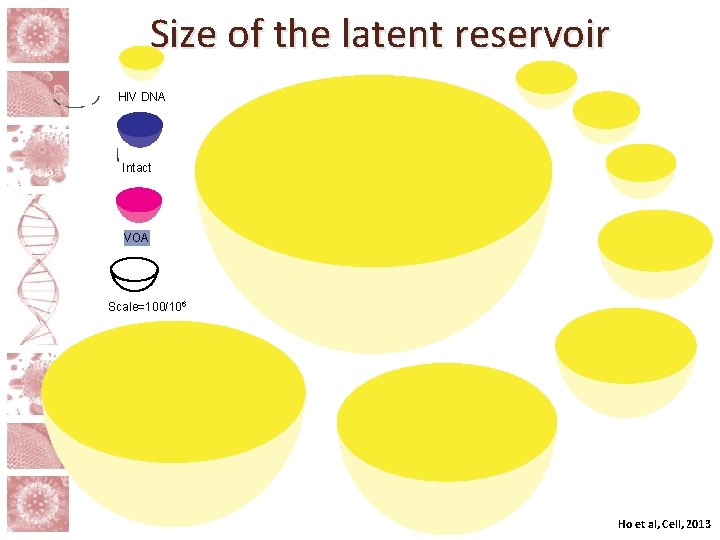 Size of the latent reservoir HIV DNA Intact VOA Scale=100/106 Ho et al, Cell,