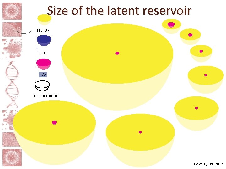 Size of the latent reservoir HIV DNA Intact VOA Scale=100/106 Ho et al, Cell,