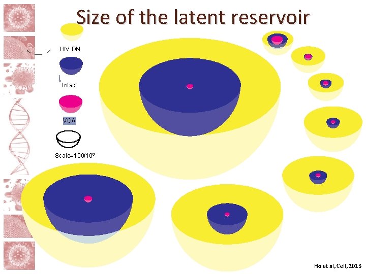 Size of the latent reservoir HIV DNA Intact VOA Scale=100/106 Ho et al, Cell,