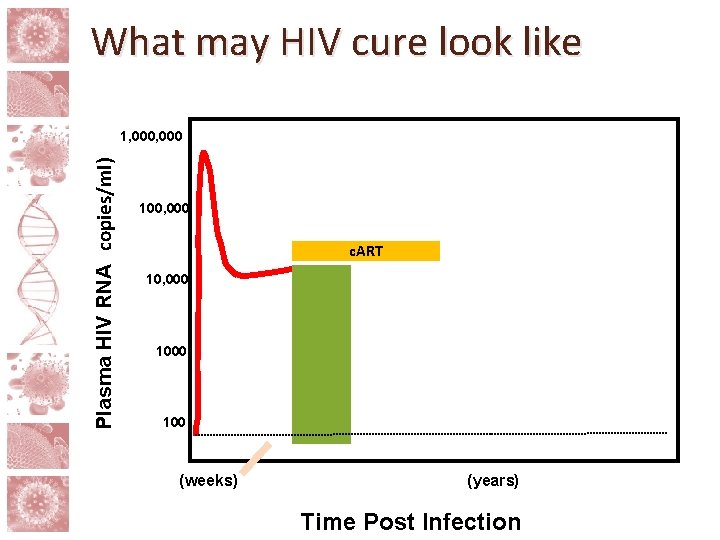 What may HIV cure look like Plasma HIV RNA (copies/ml) 1, 000 100, 000