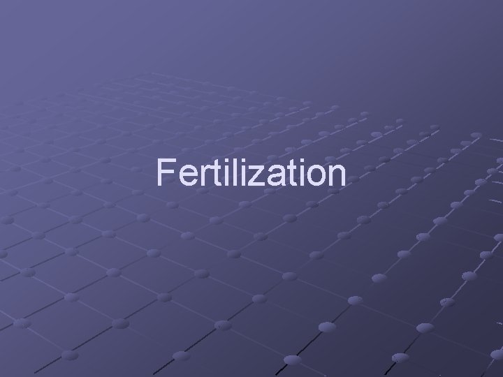 Fertilization 