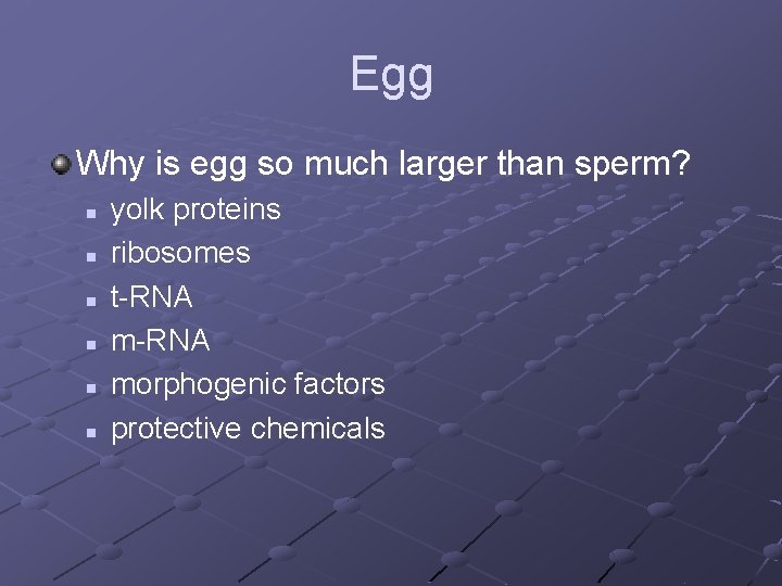 Egg Why is egg so much larger than sperm? n n n yolk proteins