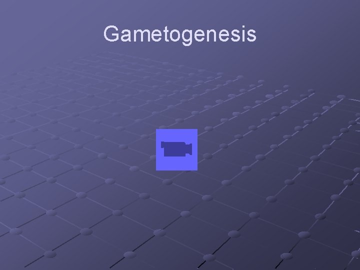 Gametogenesis 