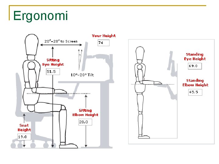 Ergonomi 