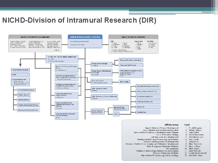 NICHD-Division of Intramural Research (DIR) 