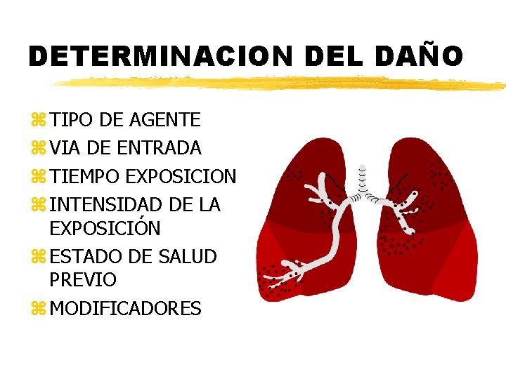 DETERMINACION DEL DAÑO z TIPO DE AGENTE z VIA DE ENTRADA z TIEMPO EXPOSICION DETERMINACION DEL DAÑO z TIPO DE AGENTE z VIA DE ENTRADA z TIEMPO EXPOSICION