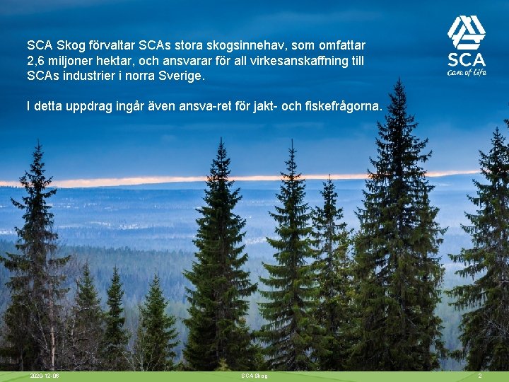 SCA Skog förvaltar SCAs stora skogsinnehav, som omfattar 2, 6 miljoner hektar, och ansvarar