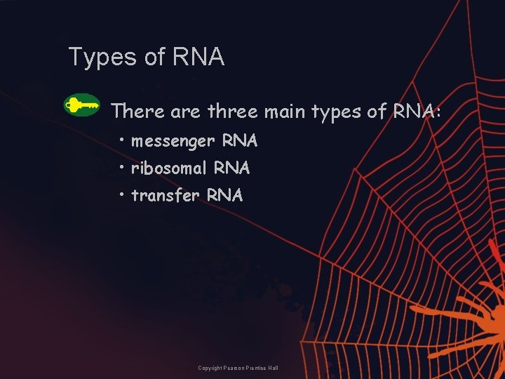 Types of RNA There are three main types of RNA: • messenger RNA •