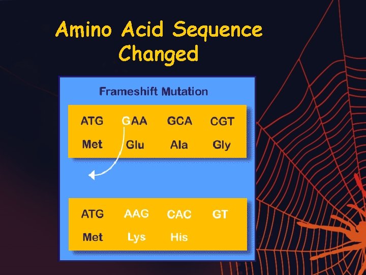 Amino Acid Sequence Changed 