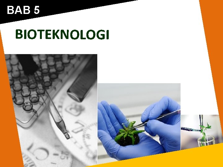 BAB 5 BIOTEKNOLOGI 