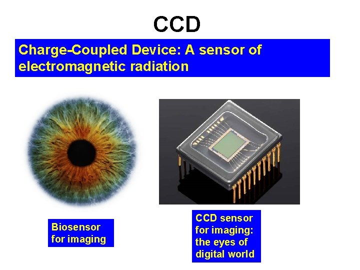 CCD Charge-Coupled Device: A sensor of electromagnetic radiation Biosensor for imaging CCD sensor for