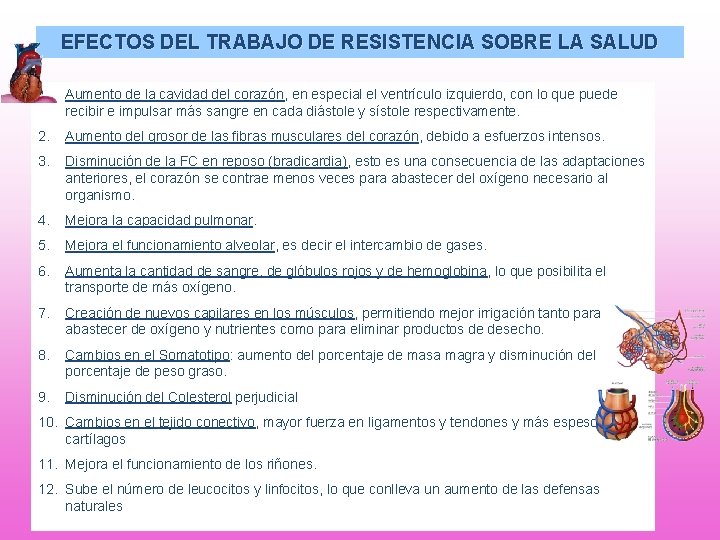 EFECTOS DEL TRABAJO DE RESISTENCIA SOBRE LA SALUD 1. Aumento de la cavidad del