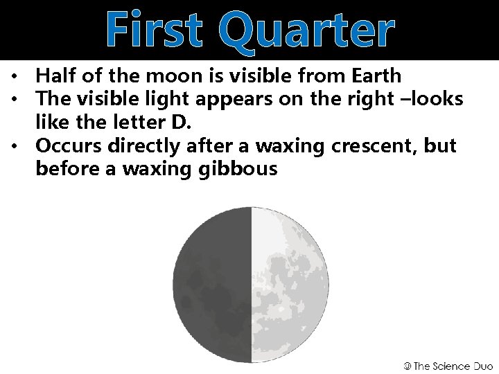 First Quarter • Half of the moon is visible from Earth • The visible