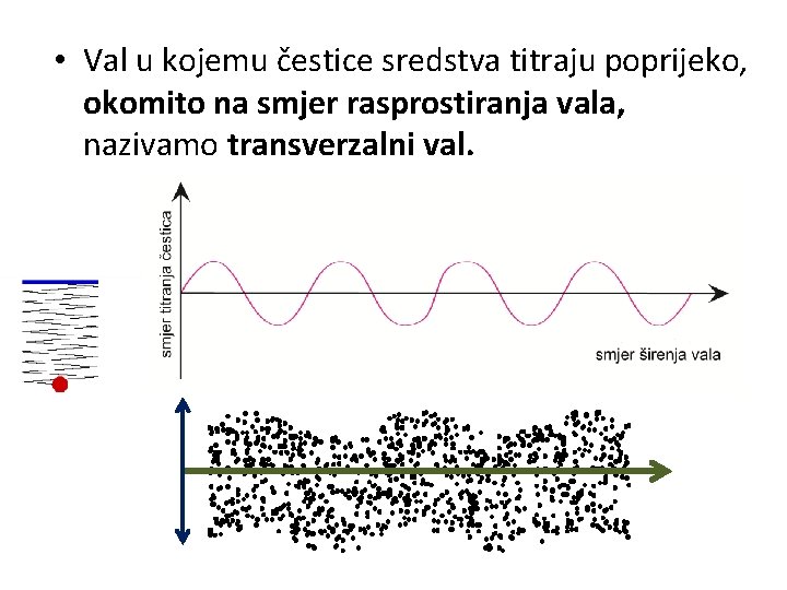  • Val u kojemu čestice sredstva titraju poprijeko, okomito na smjer rasprostiranja vala,