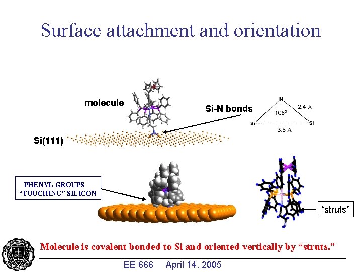 Surface attachment and orientation molecule Si-N bonds Si(111) PHENYL GROUPS “TOUCHING” SILICON “struts” Molecule