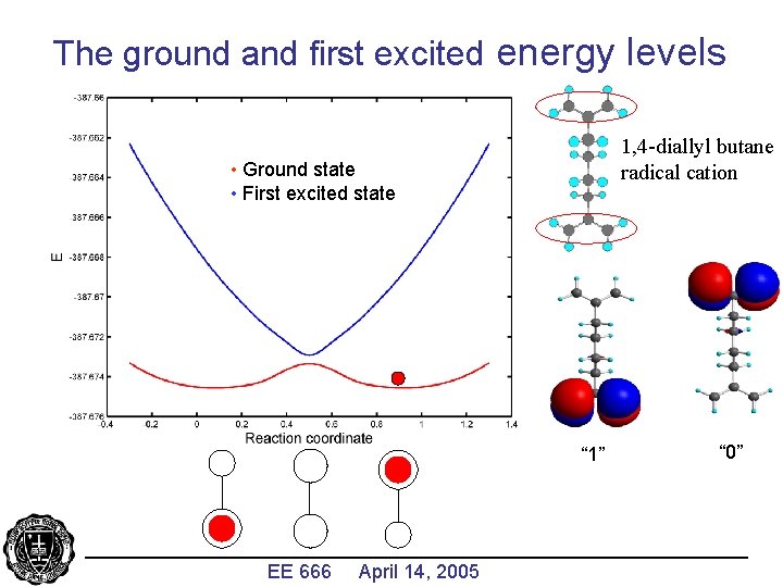 The ground and first excited energy levels 1, 4 -diallyl butane radical cation •