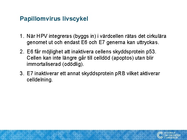 Papillomvirus livscykel 1. När HPV integreras (byggs in) i värdcellen rätas det cirkulära genomet Papillomvirus livscykel 1. När HPV integreras (byggs in) i värdcellen rätas det cirkulära genomet