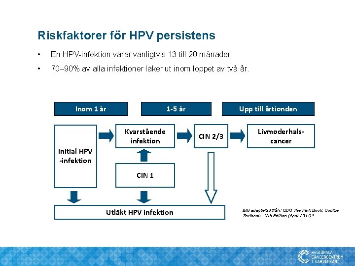 Riskfaktorer för HPV persistens • En HPV-infektion varar vanligtvis 13 till 20 månader. • Riskfaktorer för HPV persistens • En HPV-infektion varar vanligtvis 13 till 20 månader. •
