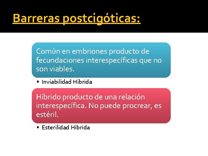 Barreras postcigóticas: Común en embriones producto de fecundaciones interespecíficas que no son viables. •