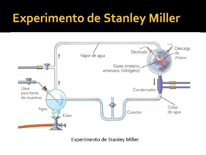 Experimento de Stanley Miller 