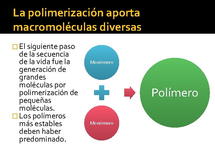 La polimerización aporta macromoléculas diversas � El siguiente paso de la secuencia de la