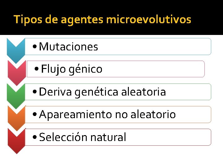 Tipos de agentes microevolutivos • Mutaciones • Flujo génico • Deriva genética aleatoria •