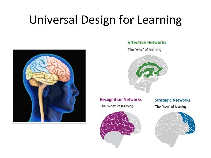 Universal Design for Learning 