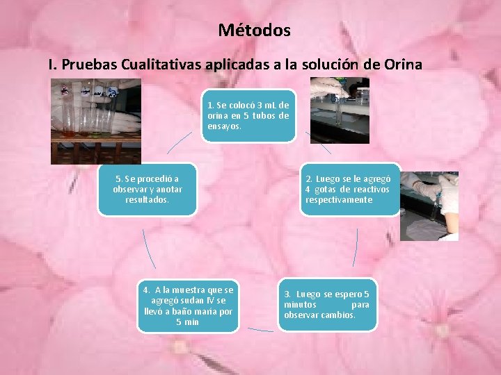 Métodos I. Pruebas Cualitativas aplicadas a la solución de Orina 1. Se colocó 3