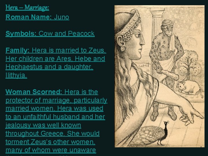 Hera – Marriage: Roman Name: Juno Symbols: Cow and Peacock Family: Hera is married