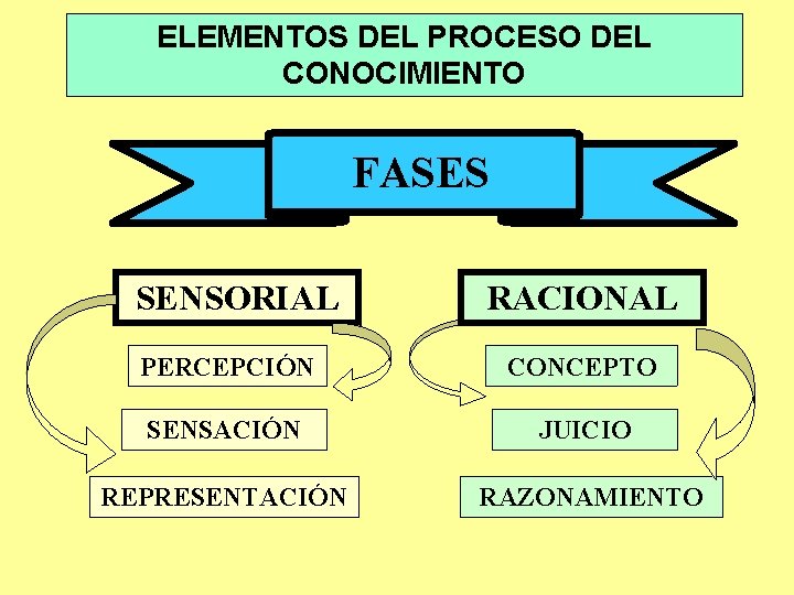ELEMENTOS DEL PROCESO DEL CONOCIMIENTO FASES SENSORIAL RACIONAL PERCEPCIÓN CONCEPTO SENSACIÓN JUICIO REPRESENTACIÓN RAZONAMIENTO