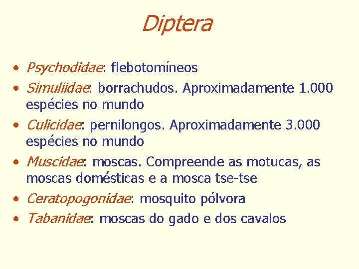 Diptera • Psychodidae: flebotomíneos • Simuliidae: borrachudos. Aproximadamente 1. 000 espécies no mundo •