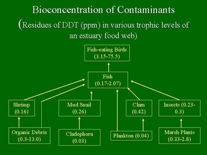 Bioconcentration of Contaminants (Residues of DDT (ppm) in various trophic levels of an estuary