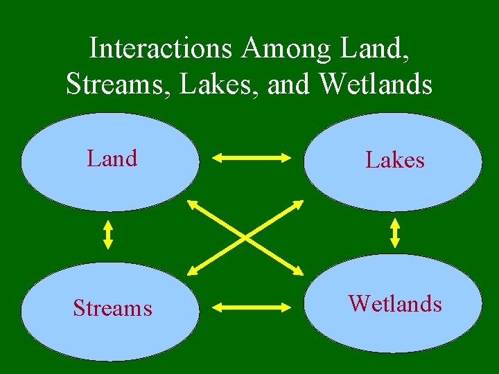 Interactions Among Land, Streams, Lakes, and Wetlands Land Lakes Streams Wetlands 