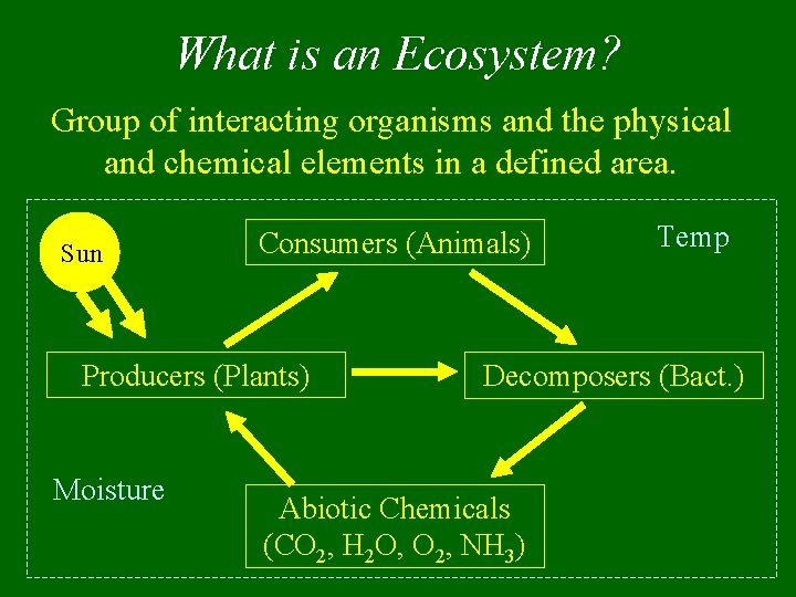 What is an Ecosystem? Group of interacting organisms and the physical and chemical elements
