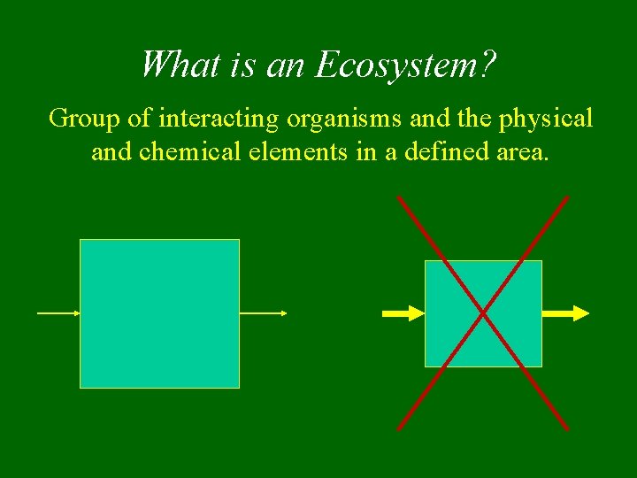 What is an Ecosystem? Group of interacting organisms and the physical and chemical elements