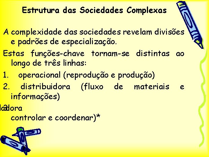 Estrutura das Sociedades Complexas A complexidade das sociedades revelam divisões e padrões de especialização.