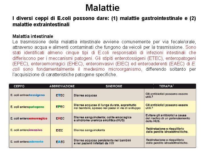 Malattie I diversi ceppi di E. coli possono dare: (1) malattie gastrointestinale e (2)