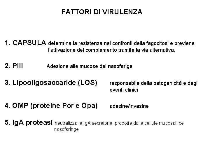 FATTORI DI VIRULENZA 1. CAPSULA determina la resistenza nei confronti della fagocitosi e previene