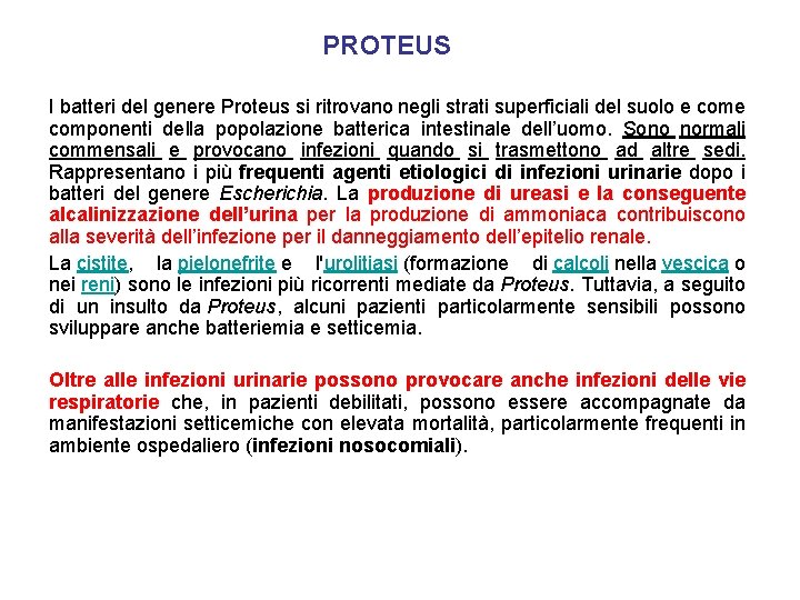PROTEUS I batteri del genere Proteus si ritrovano negli strati superficiali del suolo e